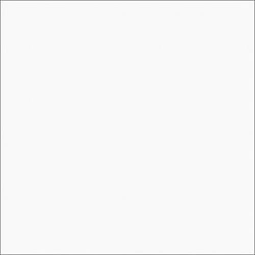 biały płyta.jpg
